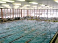 SPŠ Tábor: plavecký bazén v Táboře