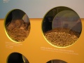 SPŠ Tábor: ukázky biomasy